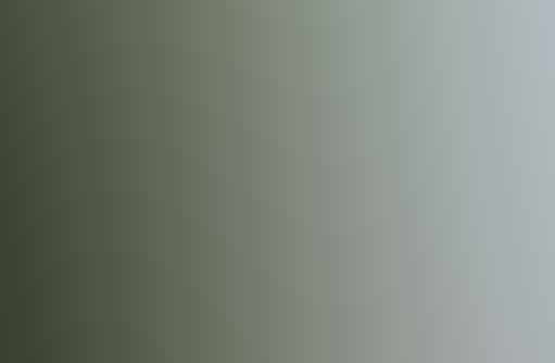 无后台驻留的ddos网页端